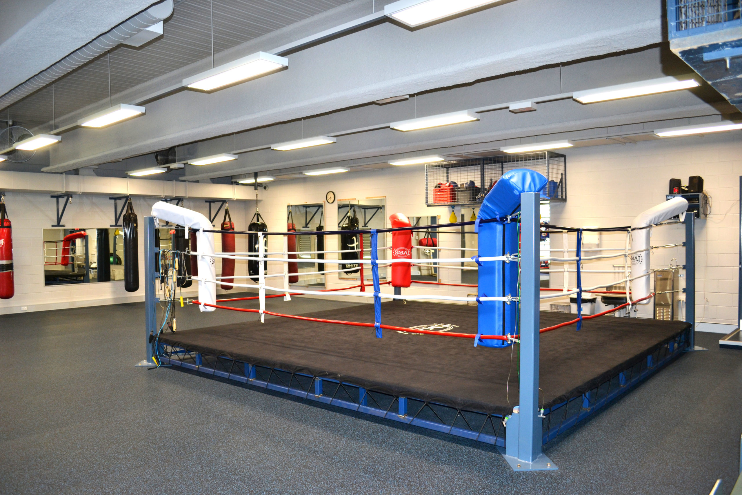 Brydens Boxing Gym - Sydney Uni Sport & Fitness - Boxing Ring